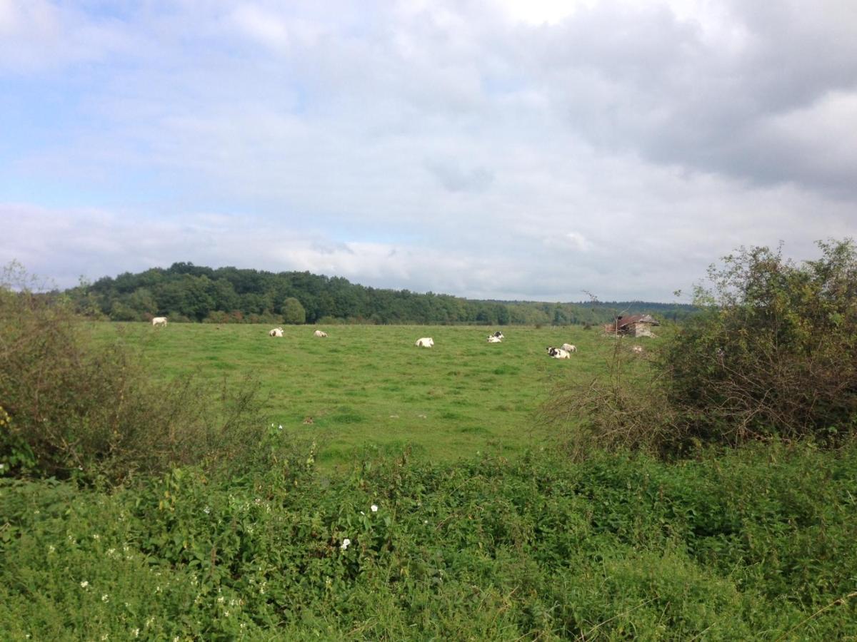 Bed and Breakfast Ferme Houard Bomal Esterno foto